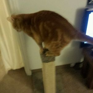 Meet your Posher, Jay